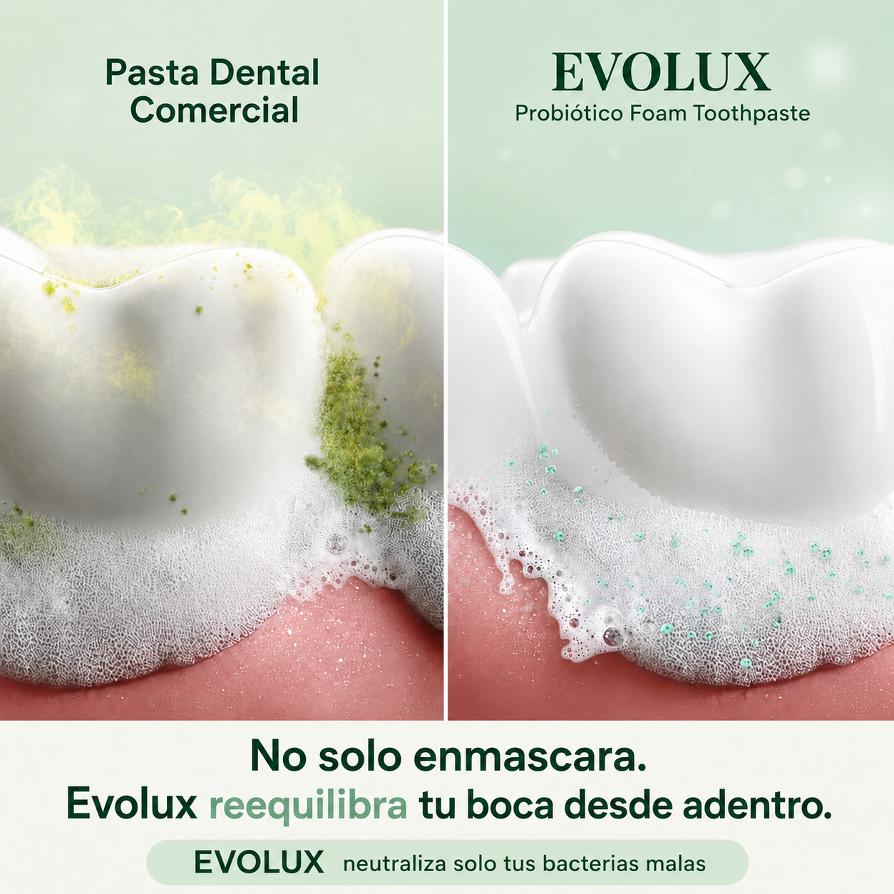 EVOLUX™ – Pasta Dental Anti Mal Aliento Sin Flúor | Blanqueado Natural Progresivo