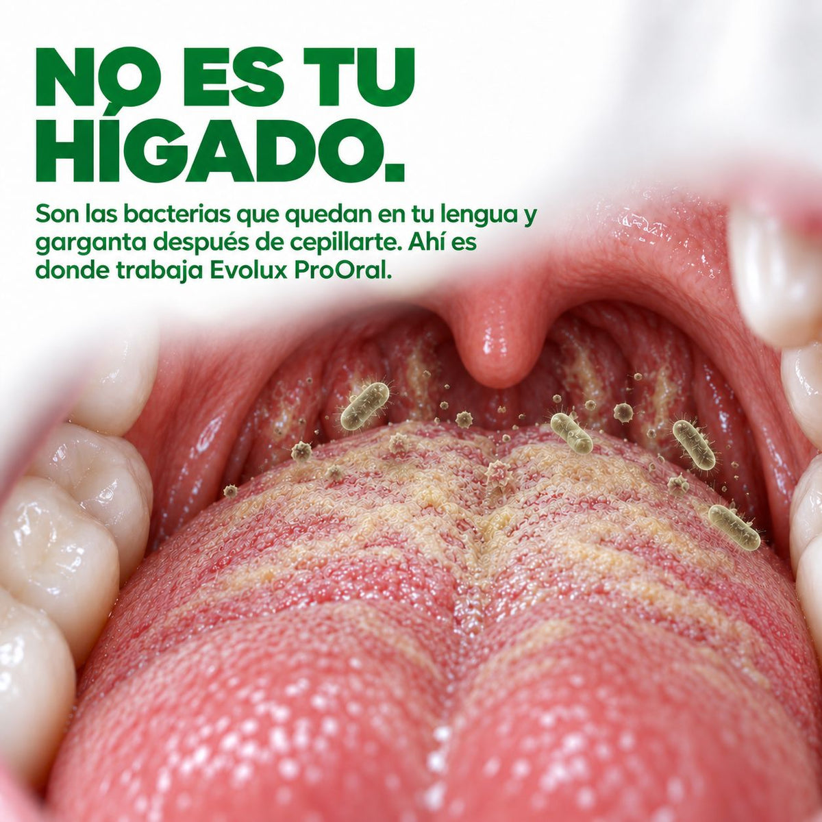 Evolux™ - Probiotico oral para Aliento Fresco