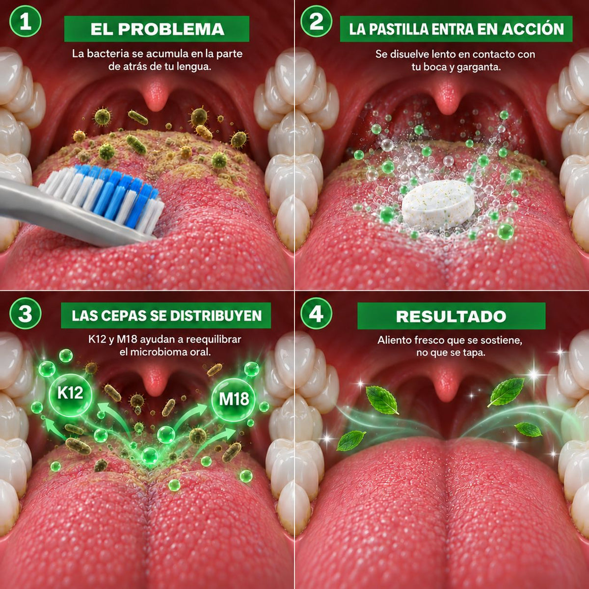 Evolux™ - Probiotico oral para Aliento Fresco